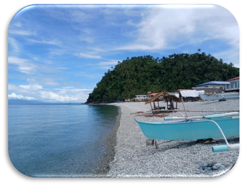 LOOC PEBBLE BEACH
