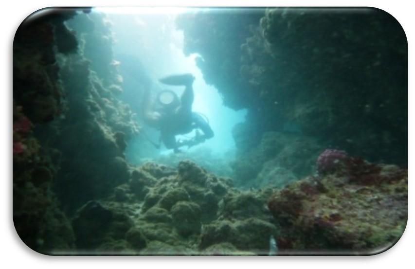 Scuba Diving at Punta Bilar Dive Site